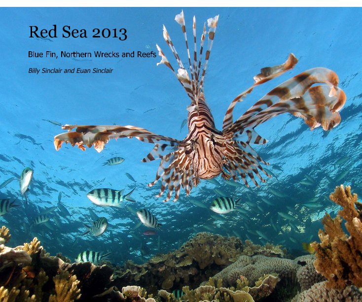 View Red Sea 2013 by Billy Sinclair and Euan Sinclair