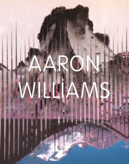 Aaron Williams book cover