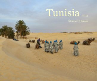 Tunisia 2013 book cover