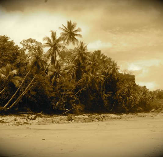 I've Never Been to the Beach nach jamie humphrey anzeigen