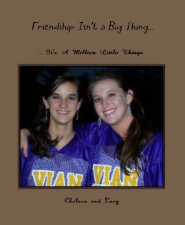 Friendship Isn't a Big Thing... book cover