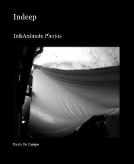 Indeep book cover
