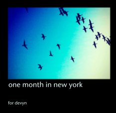 one month in new york book cover