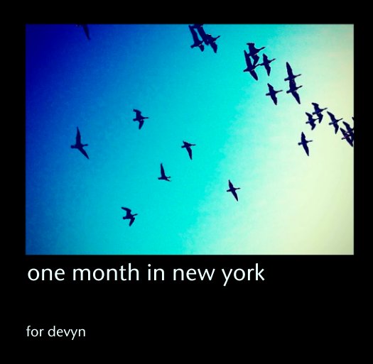 View one month in new york by andi state