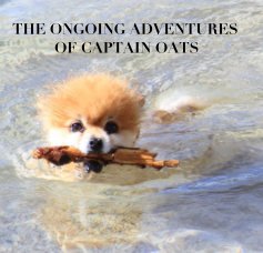 THE ONGOING ADVENTURES OF CAPTAIN OATS book cover