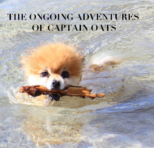 View THE ONGOING ADVENTURES OF CAPTAIN OATS by Mona Khashoggi