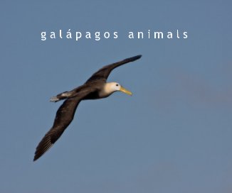 galápagos animals book cover