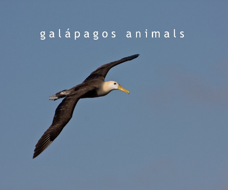 Ver galápagos animals por William & Angela Kennedy