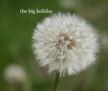 the big holiday book cover