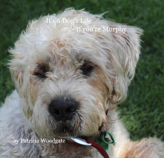 Ver It's a Dog's Life - If you're Murphy por Patricia Woodgate