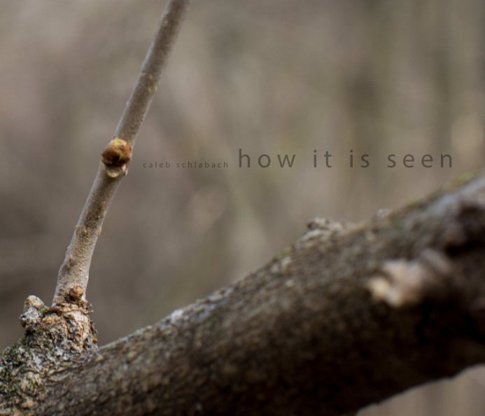 View How it is Seen by Caleb Schlabach