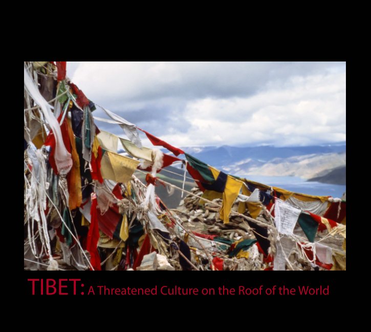 View TIBET by Anne Oliver