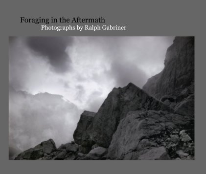 Foraging in the Aftermath book cover