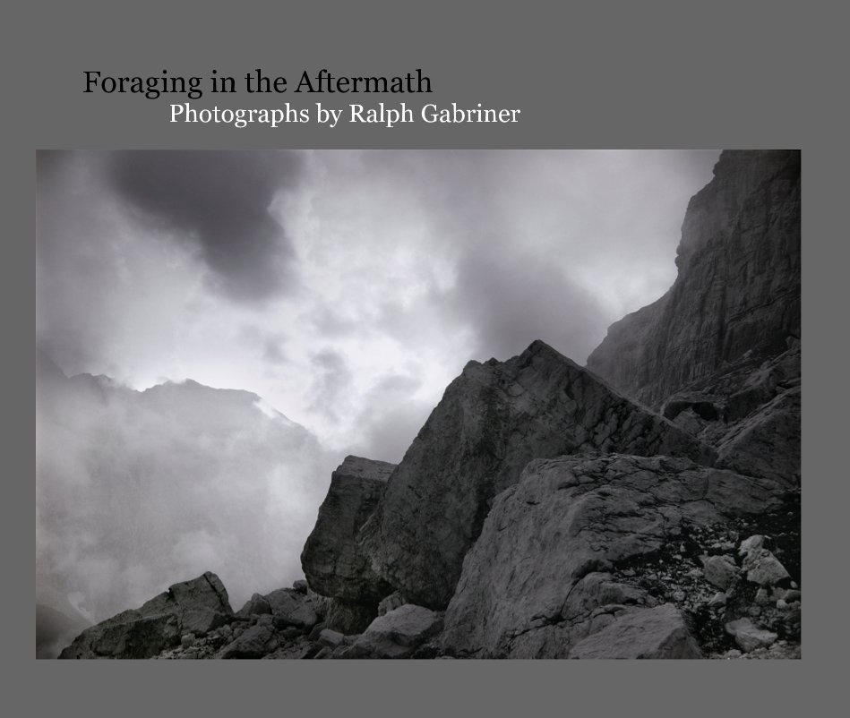 View Foraging in the Aftermath by Ralph Gabriner