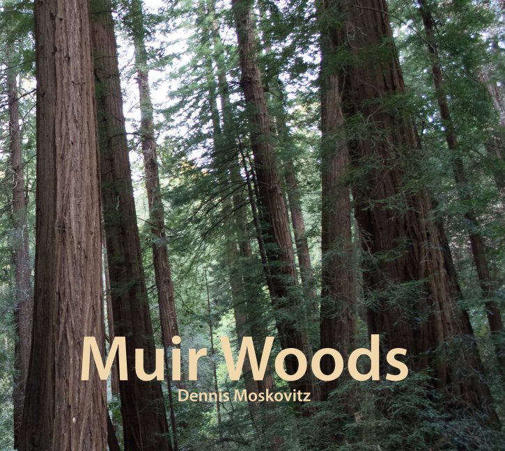 Muir Woods nach Dennis Moskovitz anzeigen