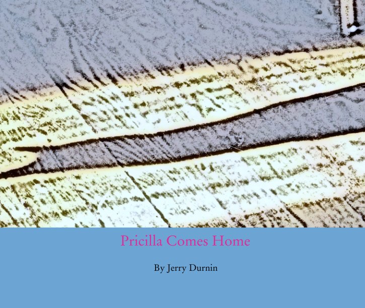View Pricilla Comes Home by Jerry Durnin