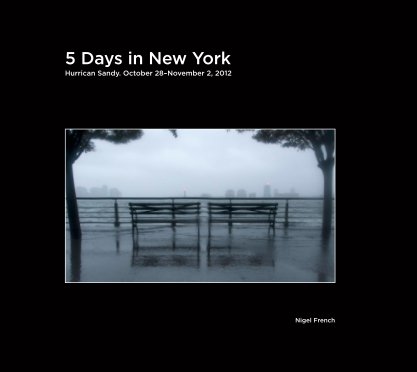 5 Days in New York book cover
