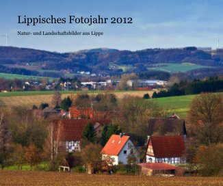 Lippisches Fotojahr 2012 book cover