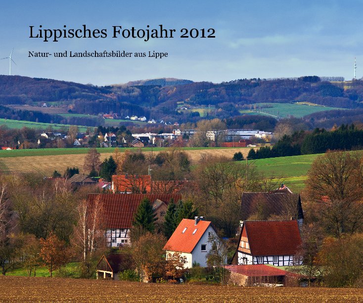 Visualizza Lippisches Fotojahr 2012 di Thomas Schubert