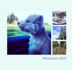 Minication 2013 book cover