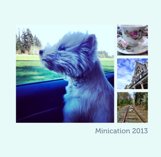 View Minication 2013 by Sara