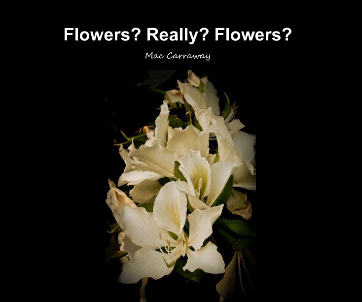 View Flowers? Really? Flowers? by Mac Carraway