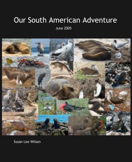 Our South American Adventure book cover