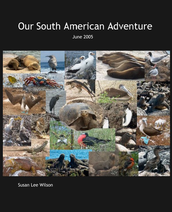 View Our South American Adventure by Susan Lee Wilson
