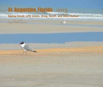 St. Augustine, Florida 2013 book cover