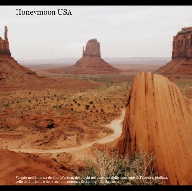 Honeymoon USA book cover
