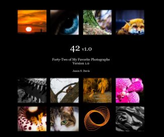 42 v1.0 book cover