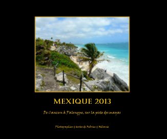Mexique 2013 book cover