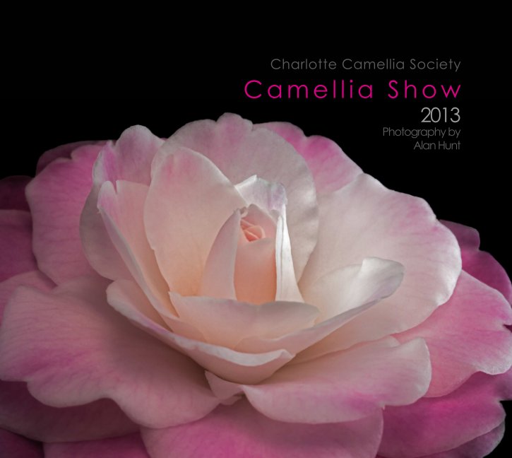 View Camellia Show 2013 by Alan Hunt
