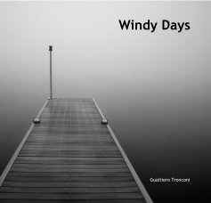 Windy Days book cover