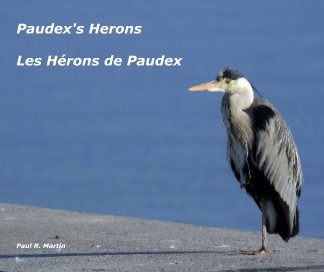 Paudex's Herons book cover