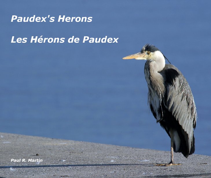 View Paudex's Herons by Paul R. MArtin