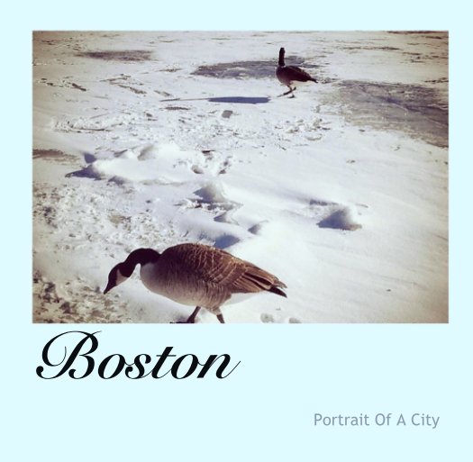 View Boston by Portrait Of A City