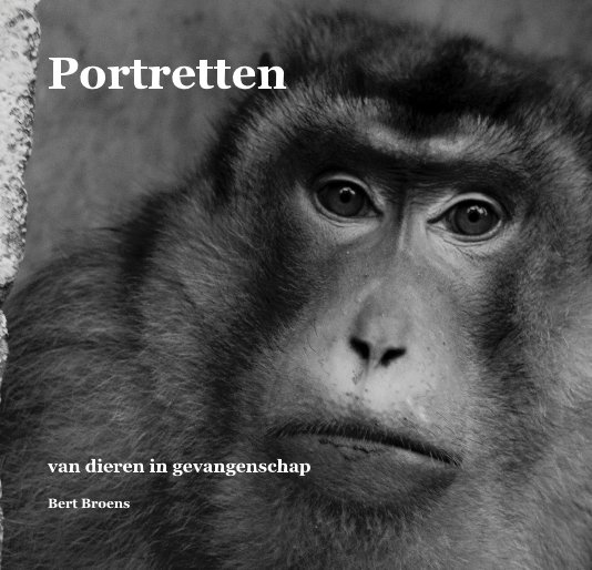 Bekijk Portretten op Bert Broens