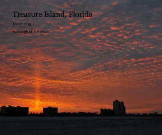Treasure Island, Florida 2013 book cover