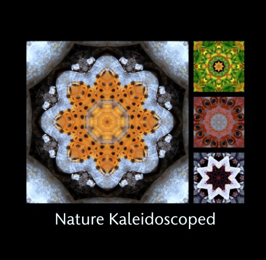 View Nature Kaleidoscoped by Mandy Christmas