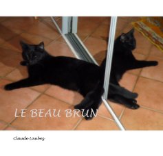 LE BEAU BRUN book cover