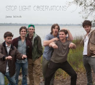 Stop Light Observations book cover