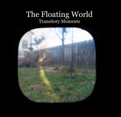 The Floating World Transitory Moments book cover