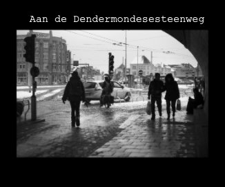 Aan de Dendermondesesteenweg book cover