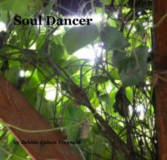 Soul Dancer book cover