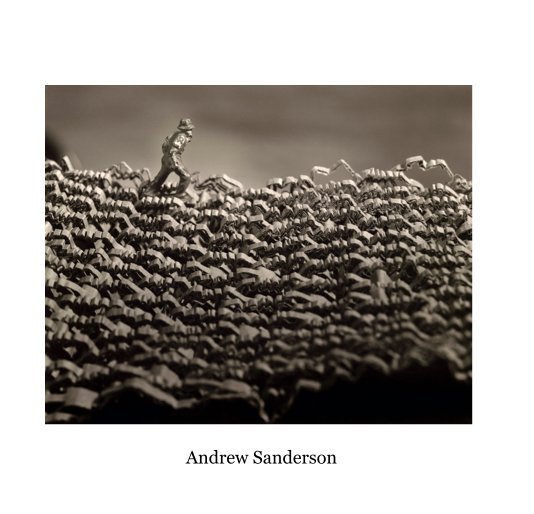 View Untitled (Portfolio) by Andrew Sanderson
