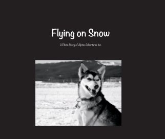 Flying on Snow book cover