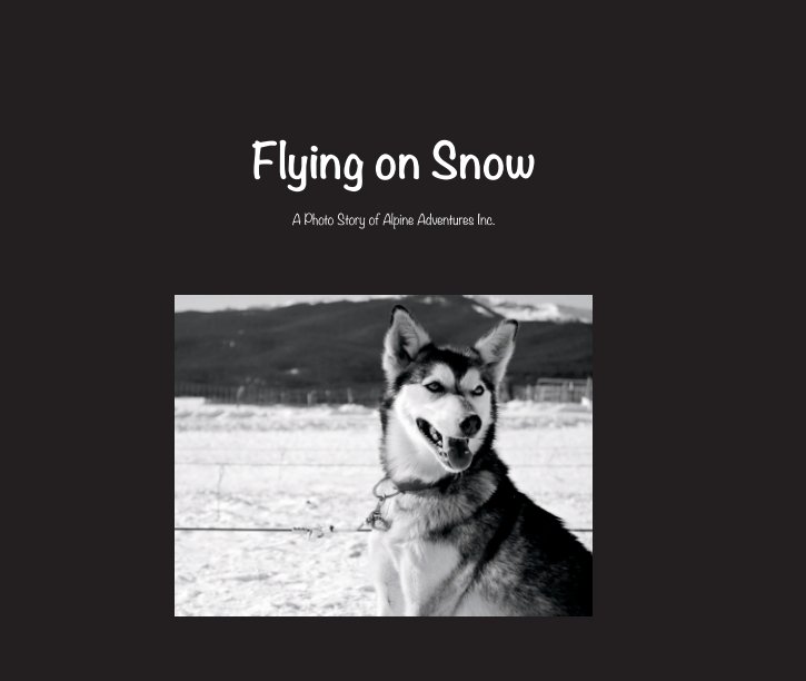 View Flying on Snow by Brittney Morgan
