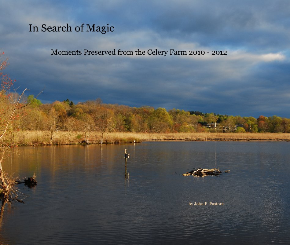 View In Search of Magic by John F. Pastore