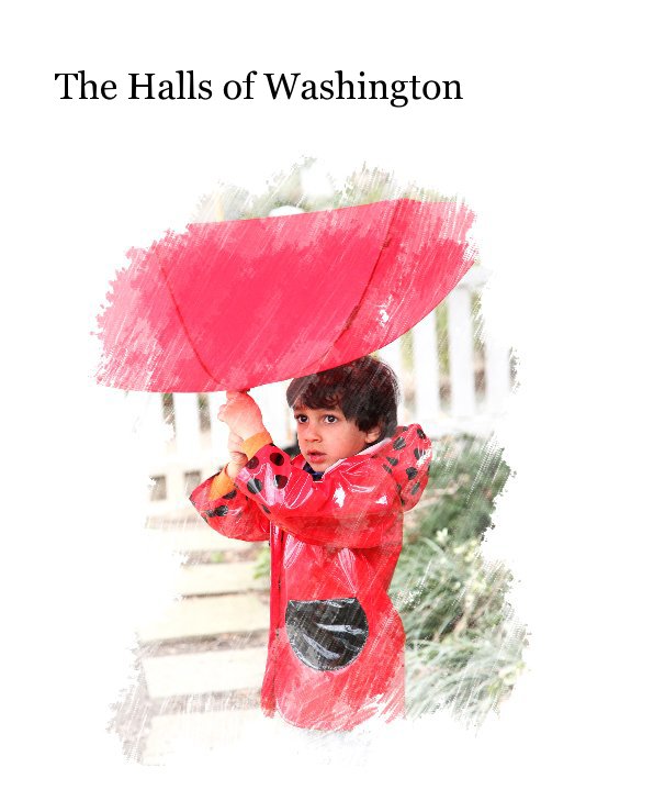 View The Halls of Washington by Asrar Burney